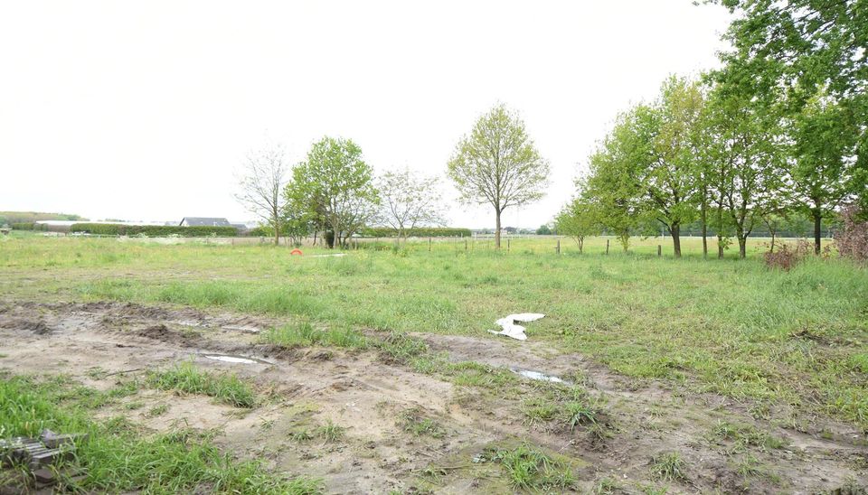 Nieuwbouwproject te Buggenhout (nieuw) in Buggenhout