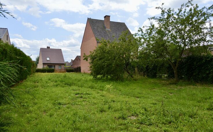 Bouwgrond te koop in Buggenhout