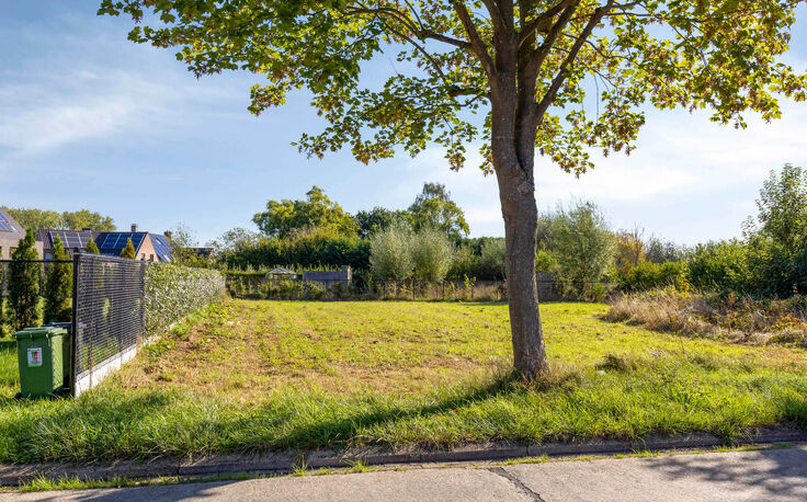 Bouwgrond te koop in Buggenhout