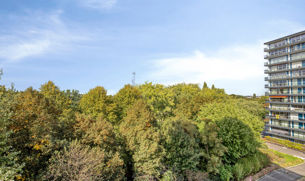 Appartement te koop in Antwerpen