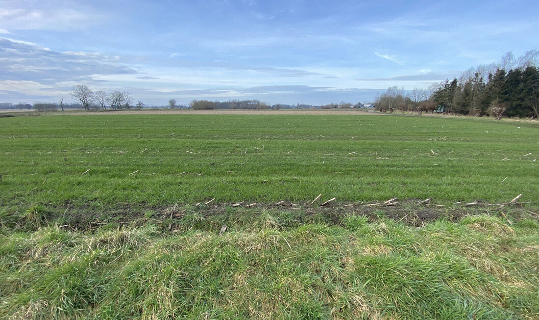 Bouwgrond te koop in Buggenhout