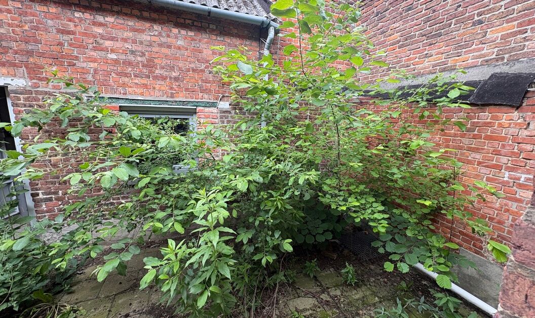 Bouwgrond te koop in Buggenhout