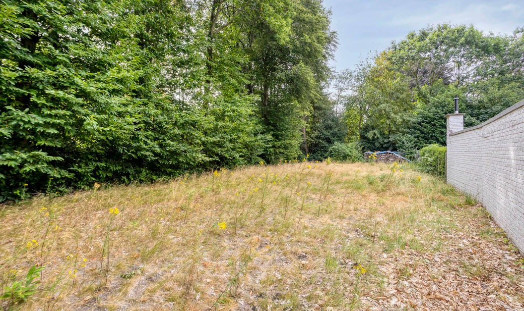Bouwgrond te koop in Buggenhout