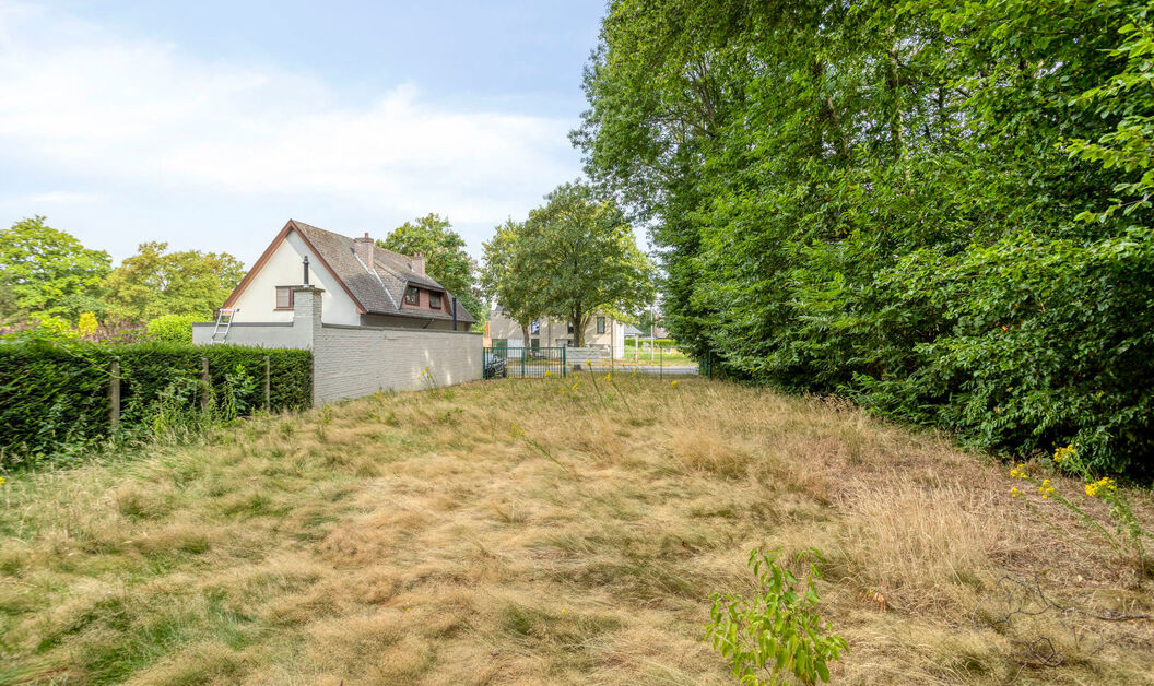 Bouwgrond te koop in Buggenhout