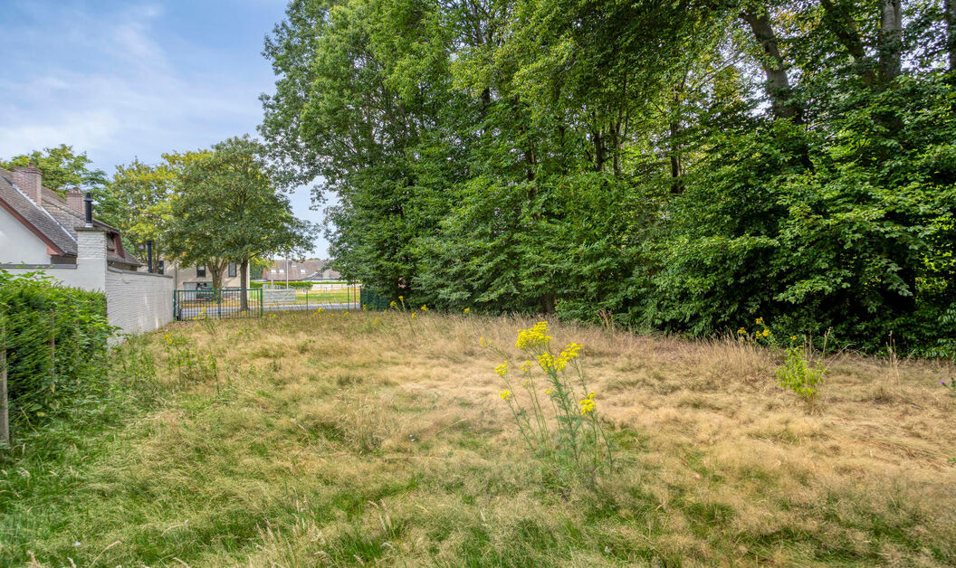 Bouwgrond te koop in Buggenhout