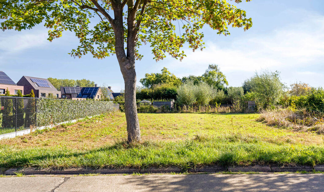 Bouwgrond te koop in Buggenhout