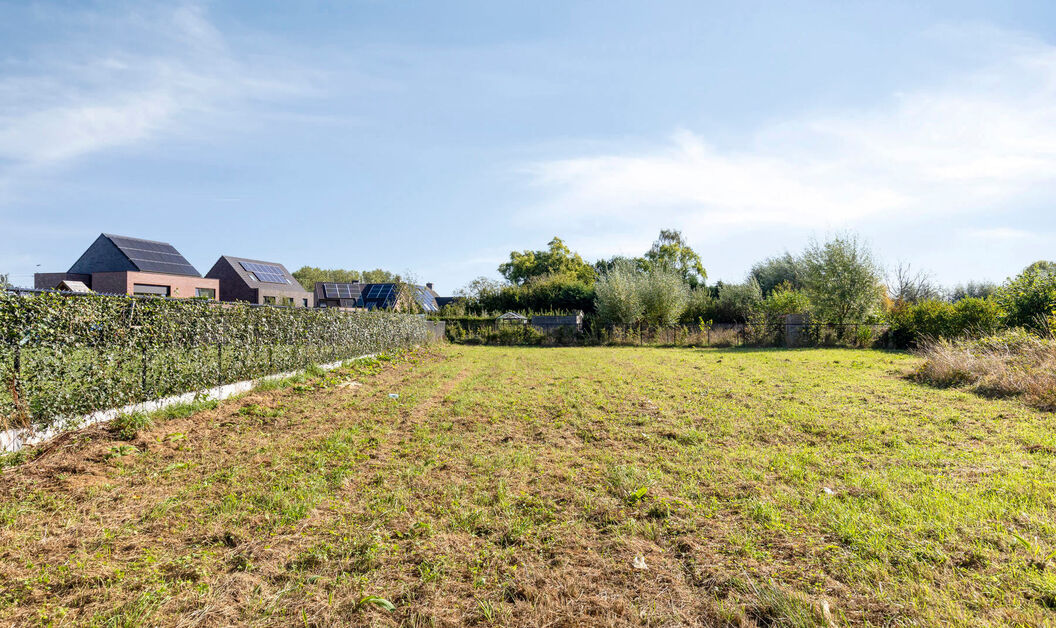 Bouwgrond te koop in Buggenhout