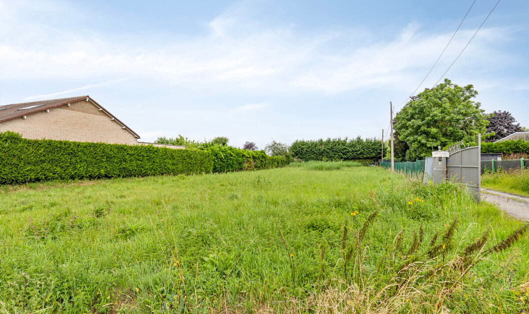 Bouwgrond te koop in Londerzeel
