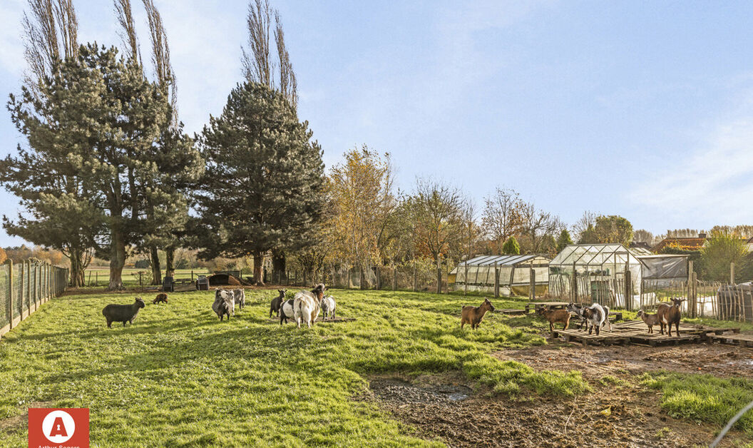 Huis te koop in Buggenhout