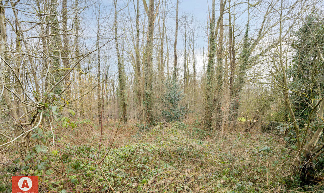 Huis te koop in Buggenhout