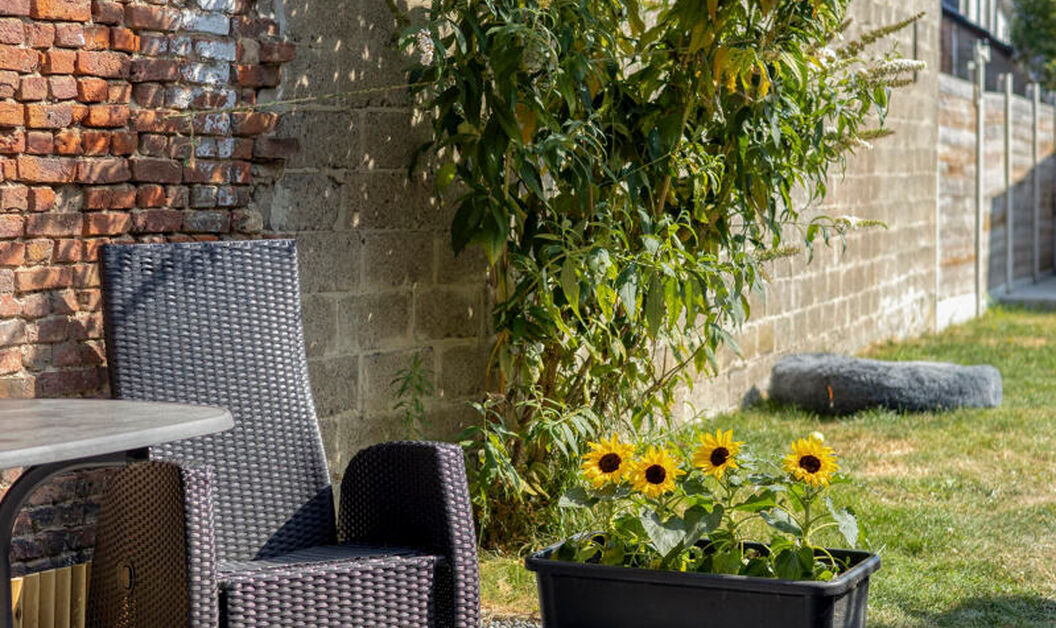 Huis te koop in Buggenhout
