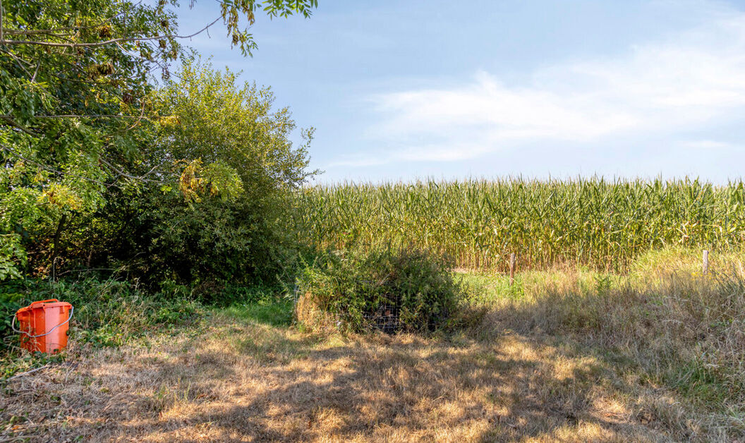 Huis te koop in Buggenhout