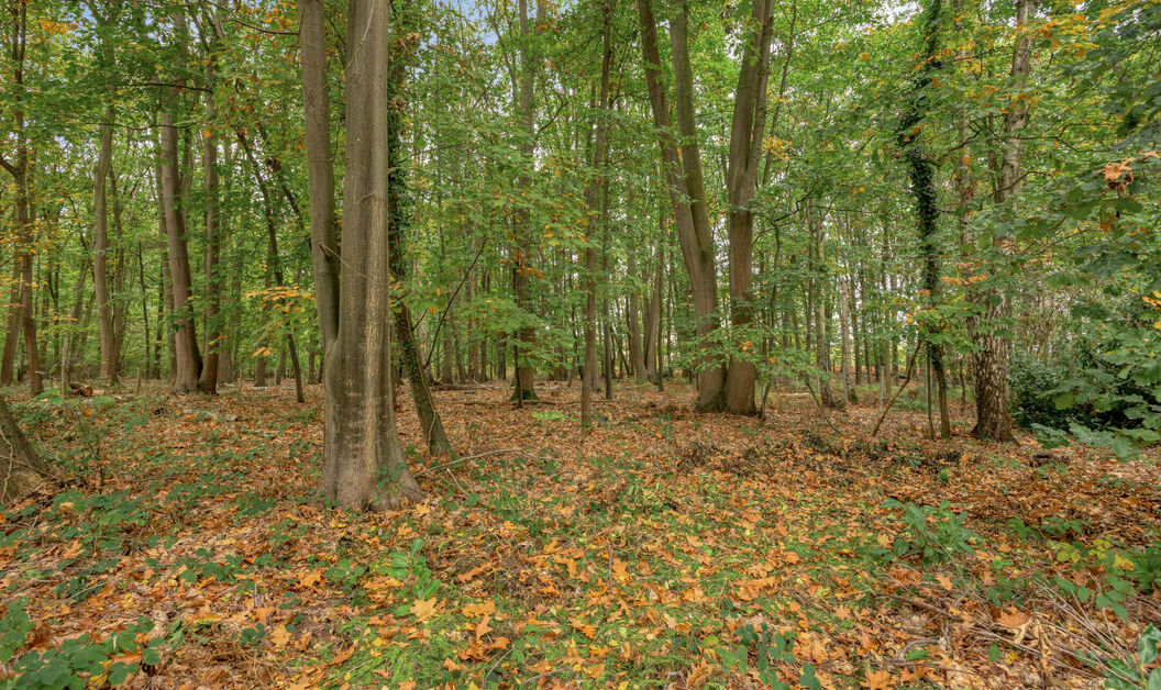 Huis te koop in Buggenhout