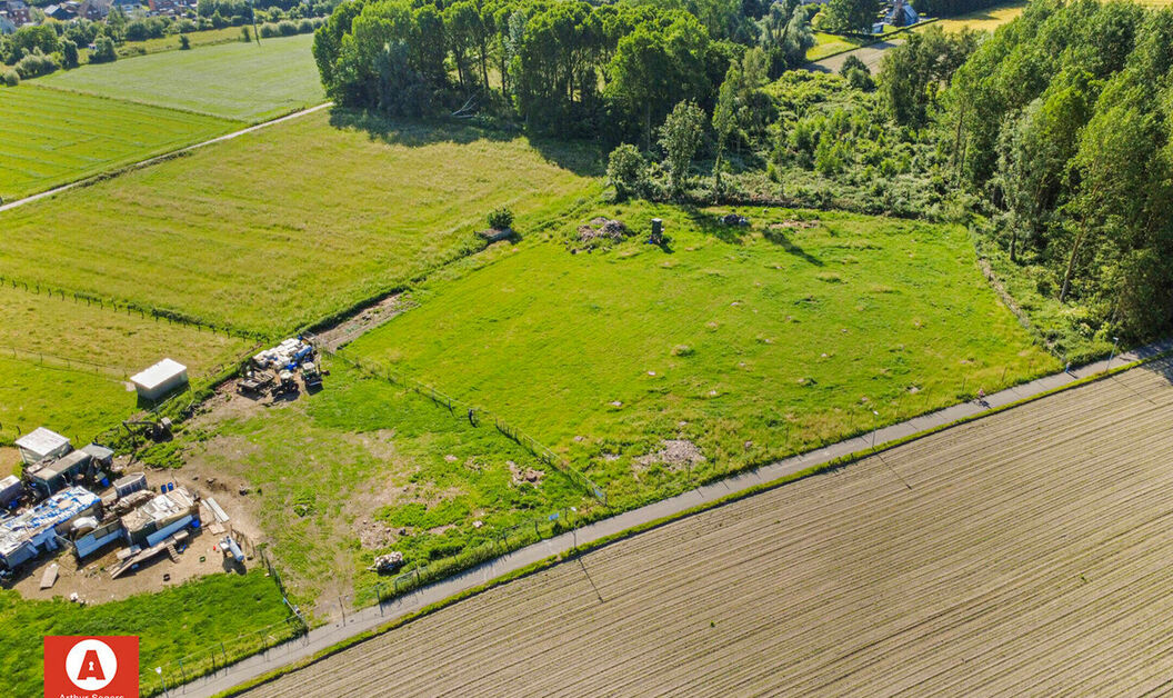 Landbouwgrond te koop in Buggenhout