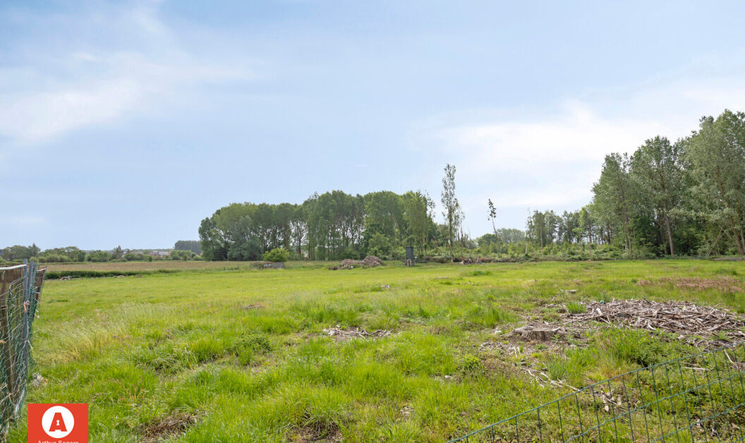 Landbouwgrond te koop in Buggenhout